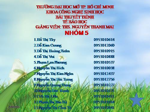 quang hợp ở thực vật