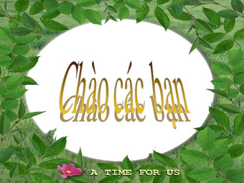 chu kỳ hoạt động của tim.