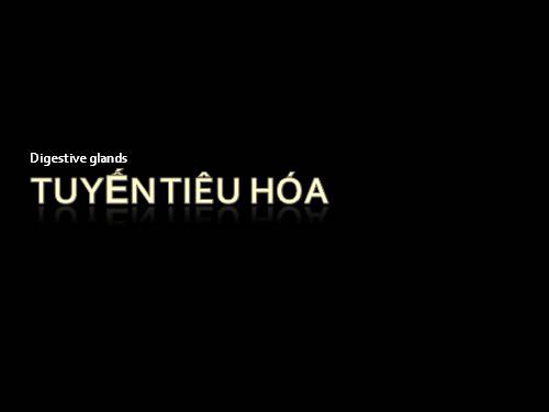 tuyến tiêu hóa - hình ảnh dưới kính hiển vi