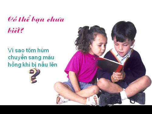 Tại sao Tôm chín có màu hồng