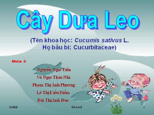 phuong phap trong cay dua leo