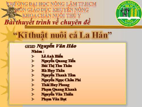 Kĩ thuật nuôi cá La Hán