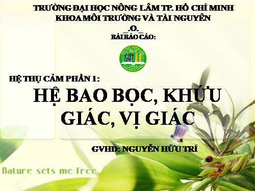 Hệ bao bọc_khứu giác_vị giác