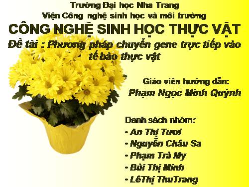 chuyển gen trực tiếp