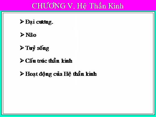 bai giang giai phau nguoi-Hệ thần kinh