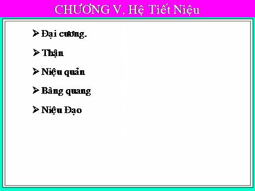 bai giang giai phau nguoi-Hệ tiết niệu