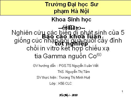 chiếu xạ tạo đột biến trên hoa cúc