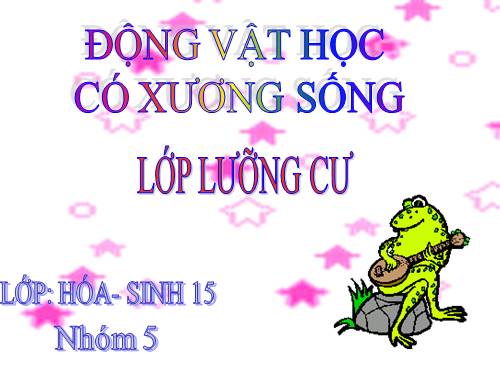 BẢI. PHÂN LOẠI LƯỠNG CƯ