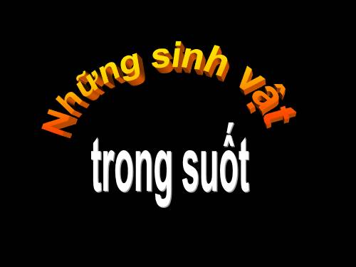 Những sinh vật trong suốt