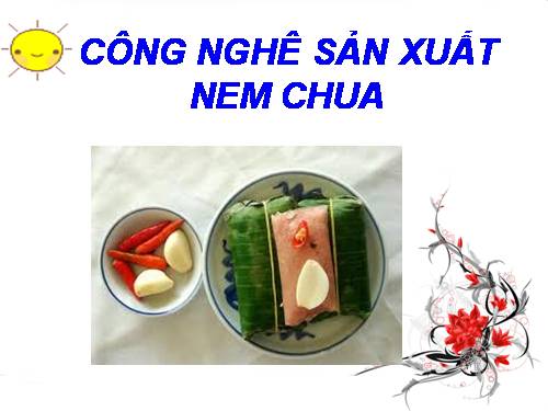 cong nghe san xuat nem chua