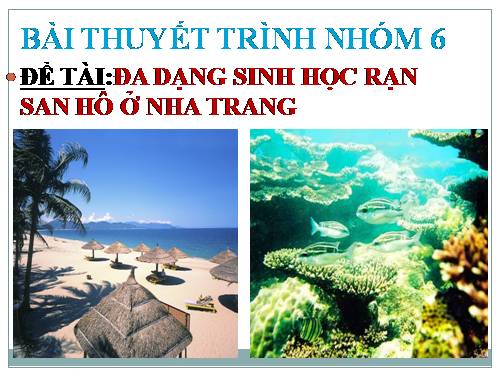 rạn san hô ở nha trang