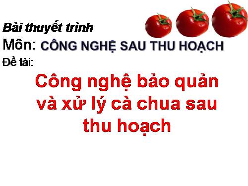 Bảo quản cà chua