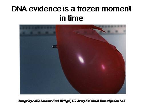 PCR