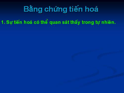 tien hoa