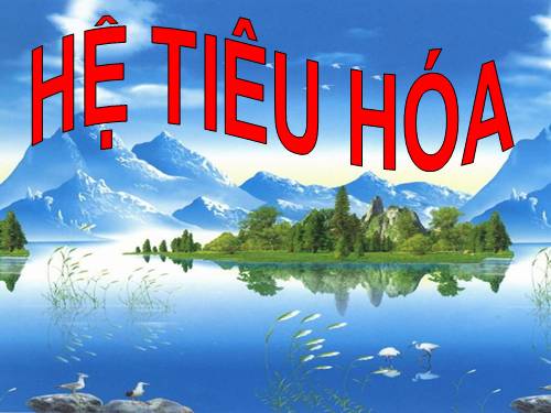 HỆ TIÊU HÓA