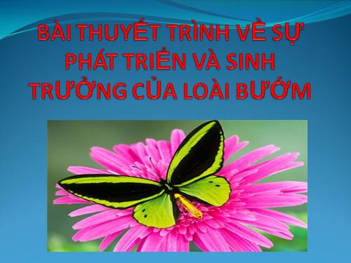 Sự phát triển của loài bướm