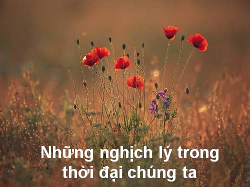 Nhwngx nghịch lý trong thời đại của chúng ta