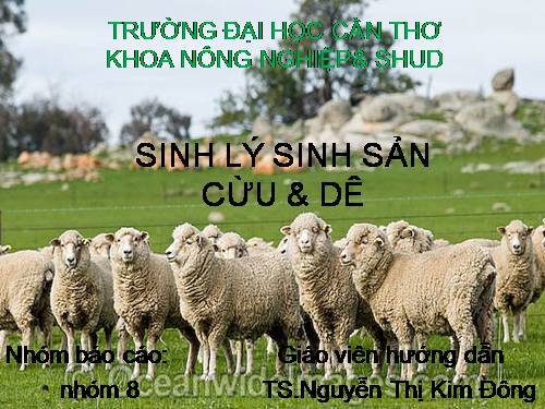 Sinh lý sinh sản Dê, cừu