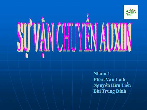 Sự vận chuyển AUXIN