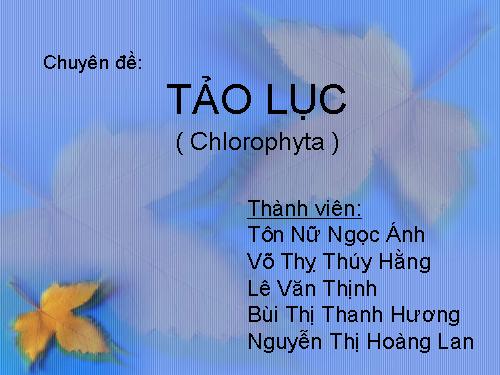 ngành tảo lục