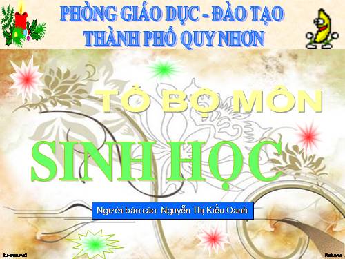 Kĩ thuật các mảnh ghép