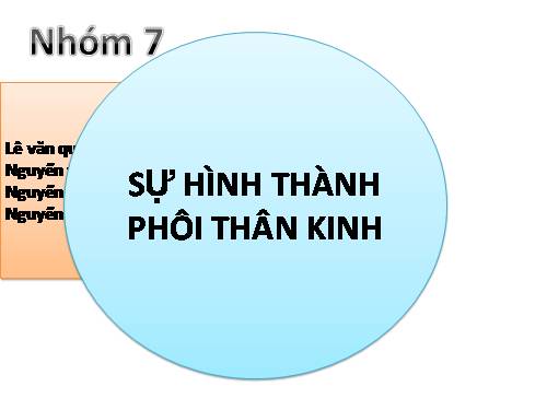 sự hình thành phôi thần kinh