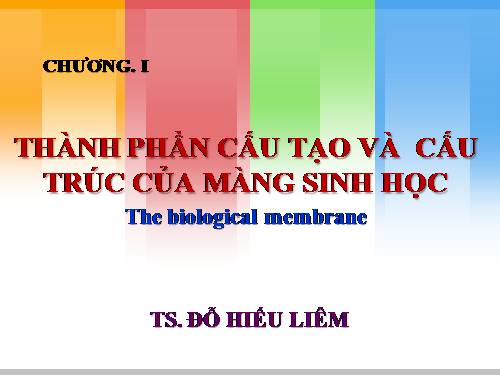 Thành phần cấu tạo và cấu trúc màng sinh học