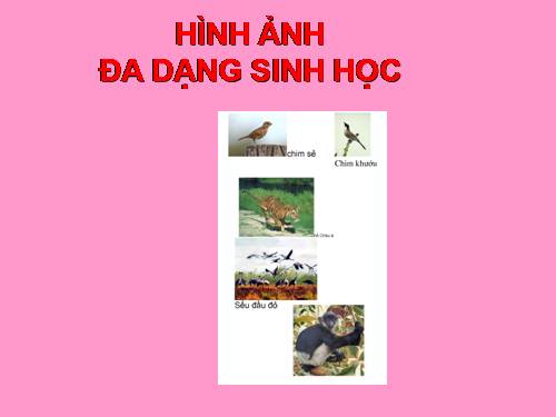 tư liệu sinh học: Đa dạng sinh học