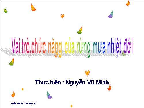 Hệ Sinh thái Rừng