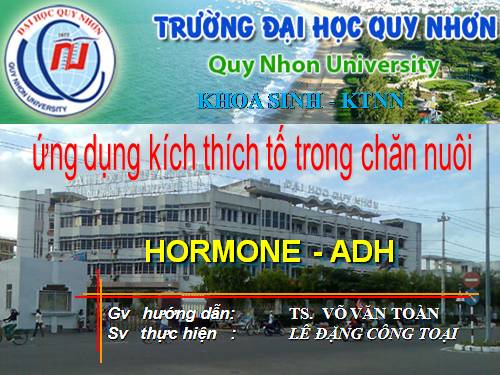 Hormon ADH