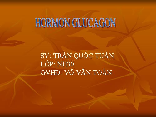 Hormon Glucagon