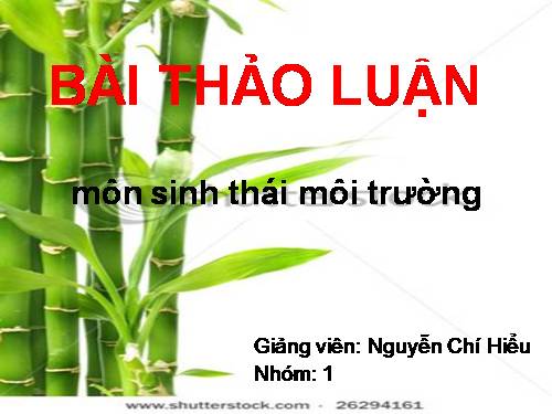 sinh thai moi truong_o sinh thai