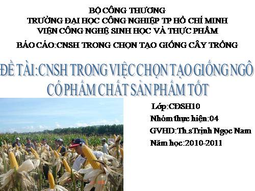 chon giong cay trong