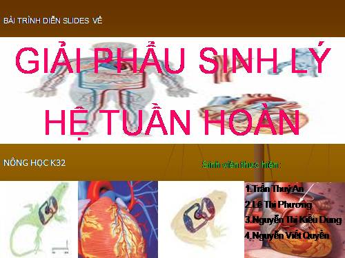 HE TUAN HOAN