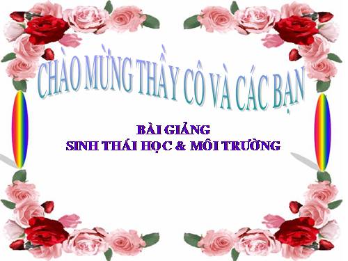 CHƯƠNG IV: QUẦN XÃ SINH VẬT