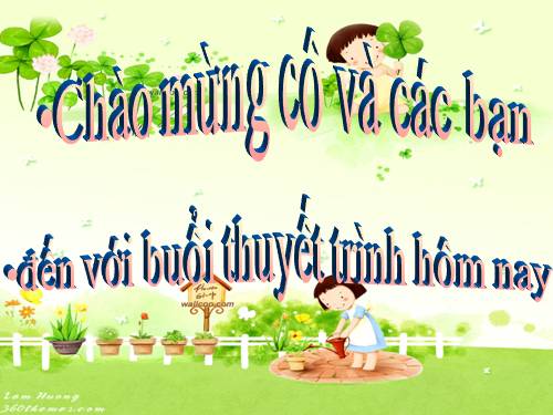 tài nguyên rừng