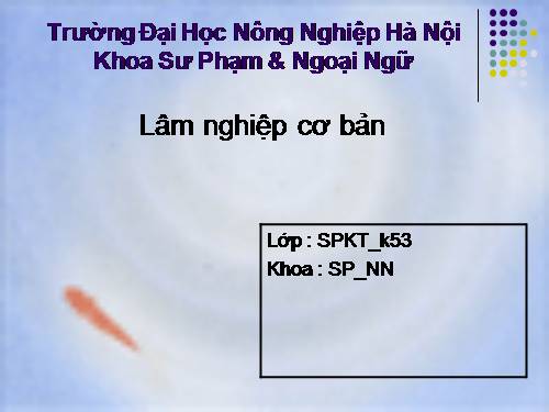 lâm nghiệp cơ bản. chương 1