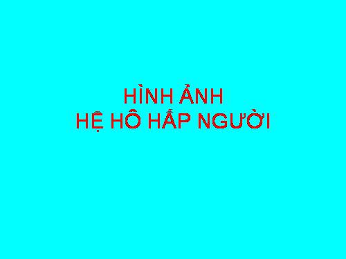 Hệ hô hâpf
