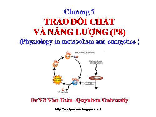 TRAO ĐỔI CHẤT VÀ NANG LUONG P8