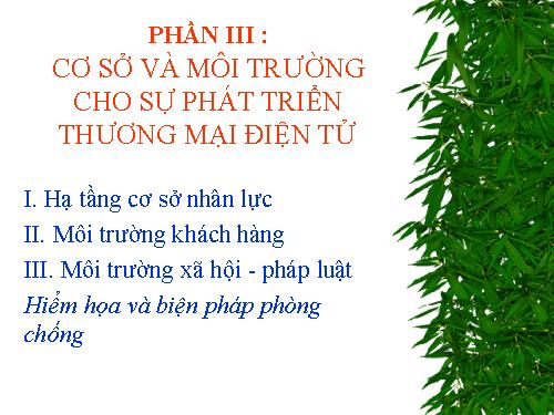 thuong mai dien tu 3