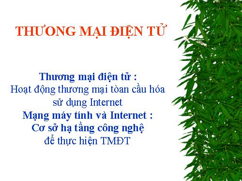 thuong mai dien tu 2