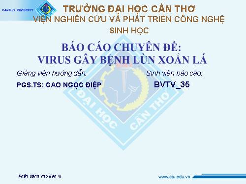 bệnh lùn xoắn lá