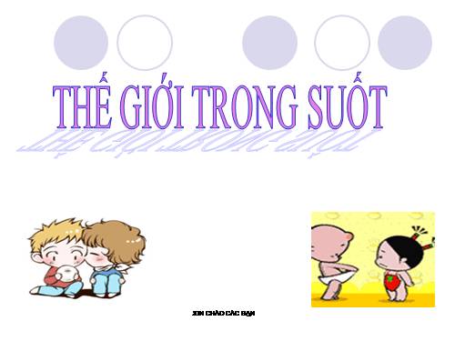 vat trong suot