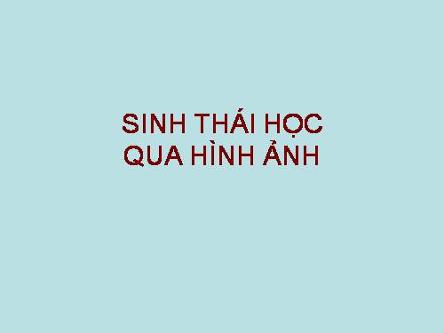 SINH THÁI HỌC