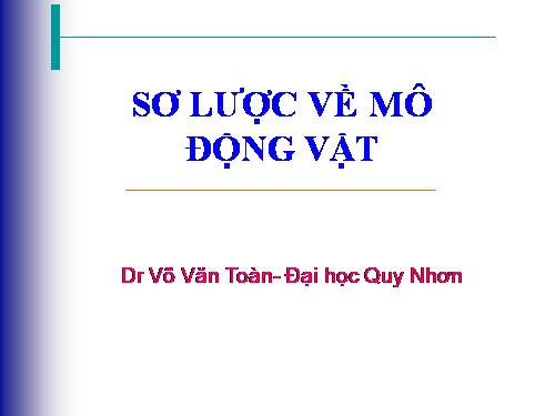 CÁC LOẠI MÔ ĐỘNG VÂT