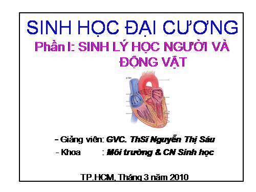 Cau truc & chuc nang mo co