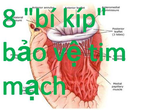 8 bí kíp bảo vệ tim mạch..