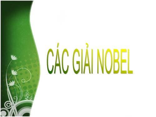 Các giải Nôben - tổng hợp