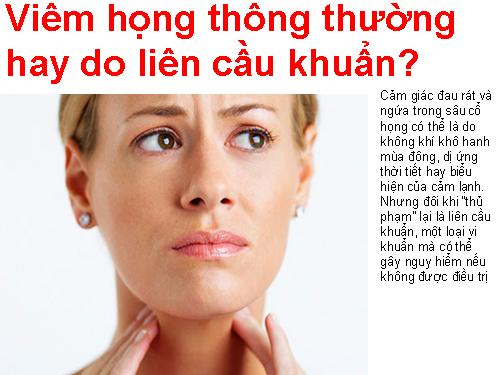 viêm họng thông thường.
