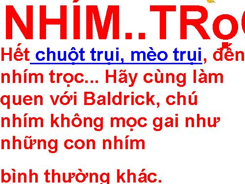 NHÍM TRỌC....